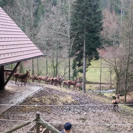 Seid Prázdninový dům